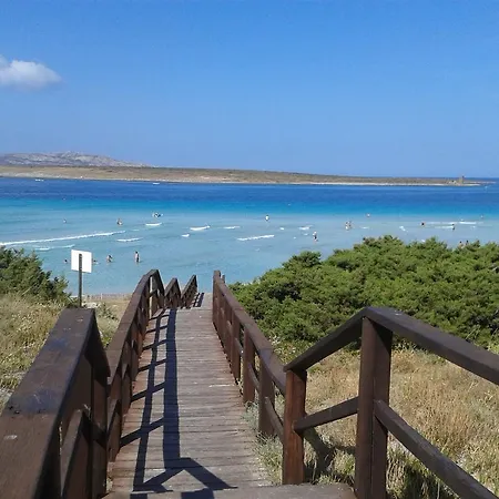 Acquamarina House Daire Terralba